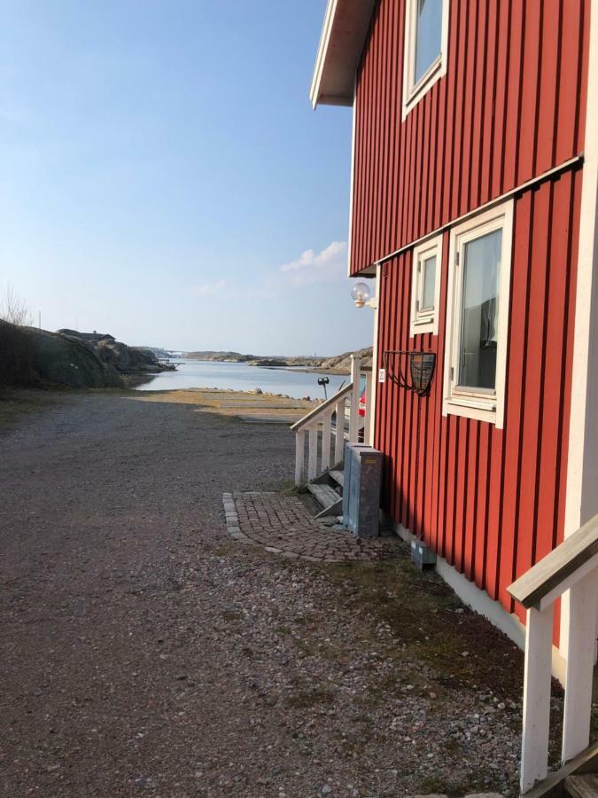 Seaview Cottage Solvik - كونغْسهامن المظهر الخارجي الصورة
